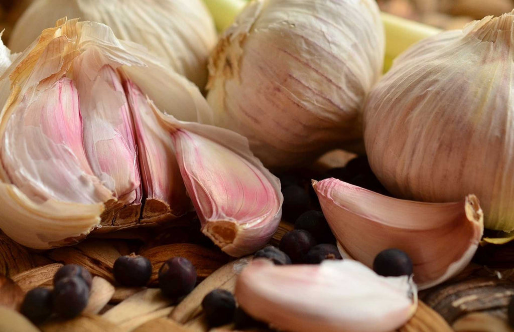 Is Garlic Really All You Need To Get Rid Of Pantry Moths?