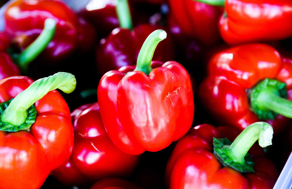 Grow at Home: Bell Pepper / Capsicum %%sep%% %%Haxnicks%%