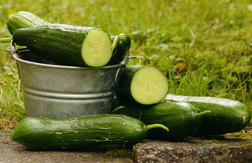 Why cucumbers are bitter & how to fix it - Ask the Food Geek