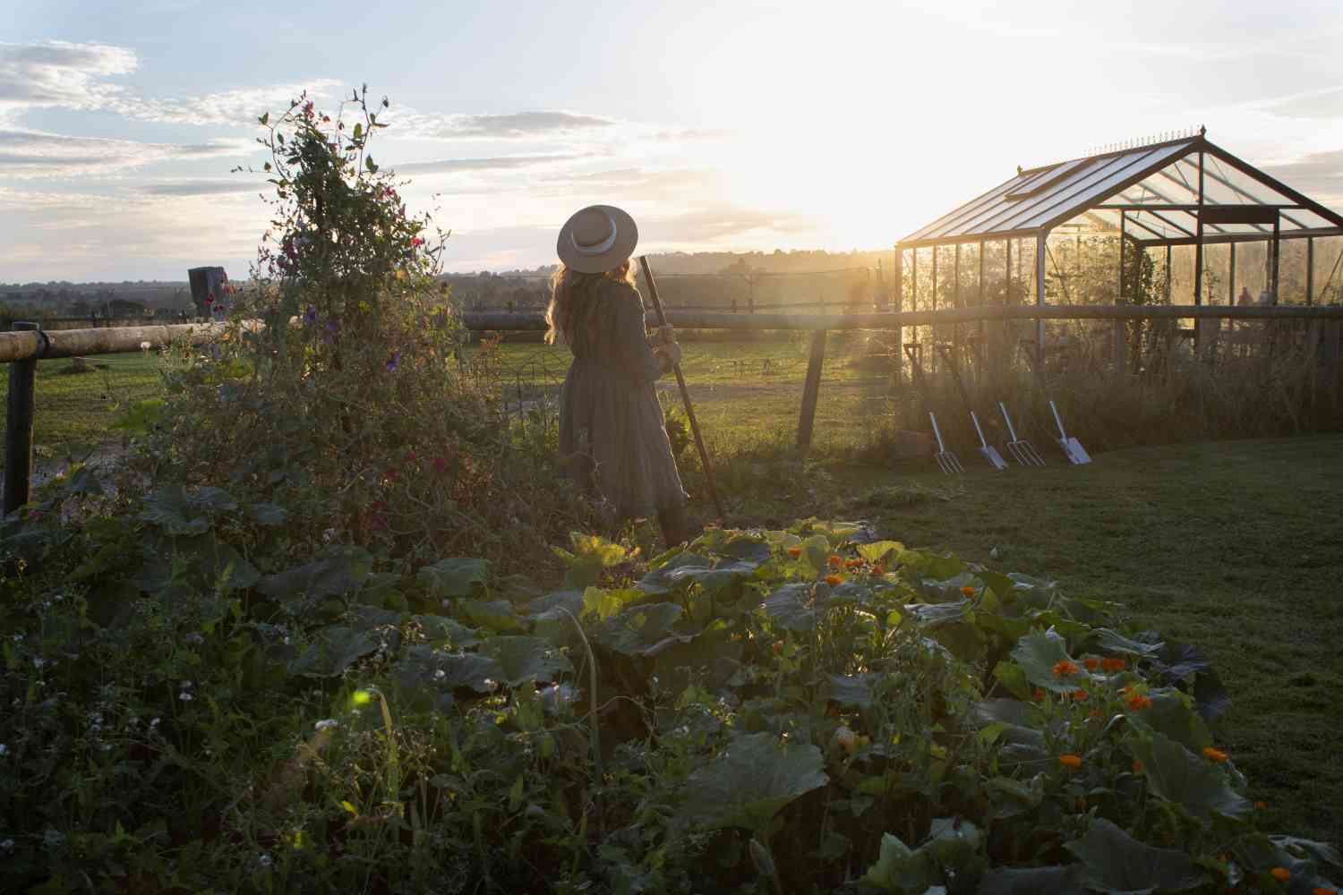 Mental Health - Why Gardening helps with Depression