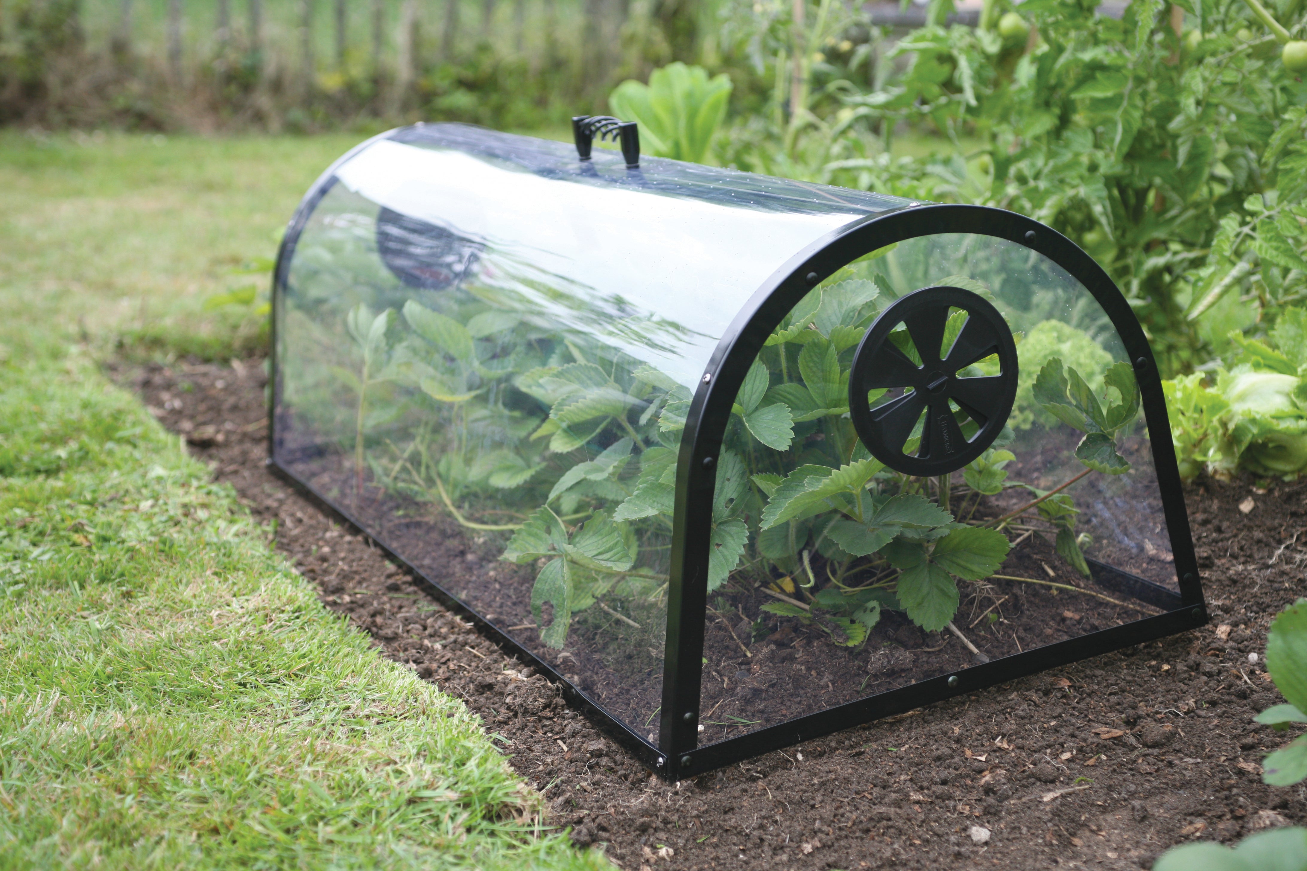 Product Bite: Haxnicks Kitchen Garden Cloche