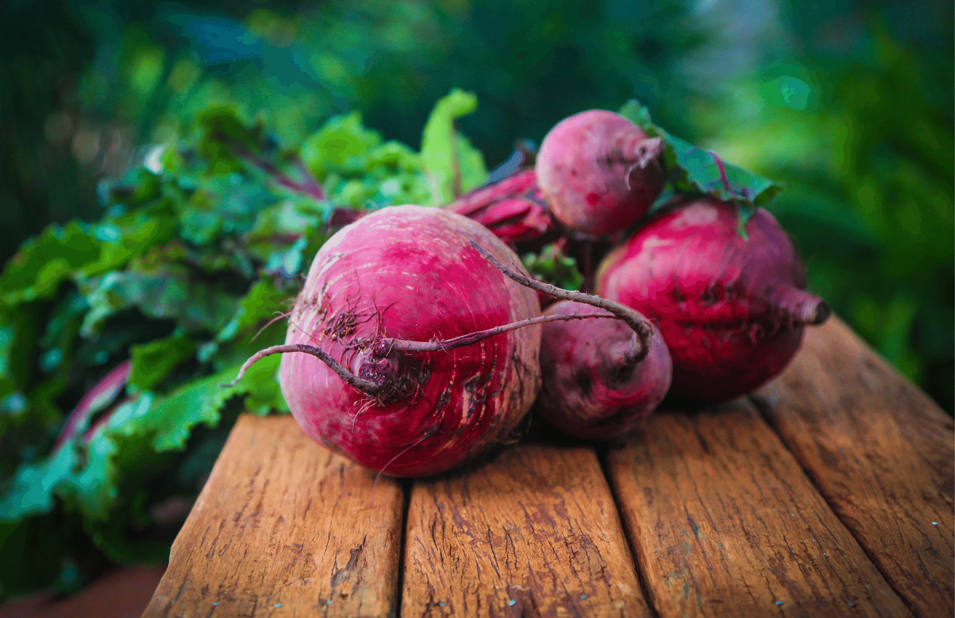 4 Beetroot with leaves attached on a wooden table 