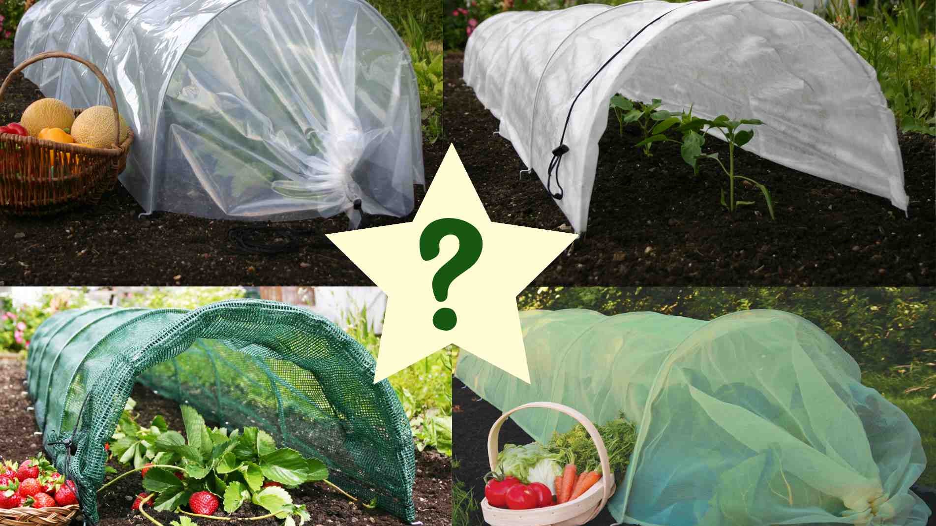 Do I need Plant Protection in my garden?