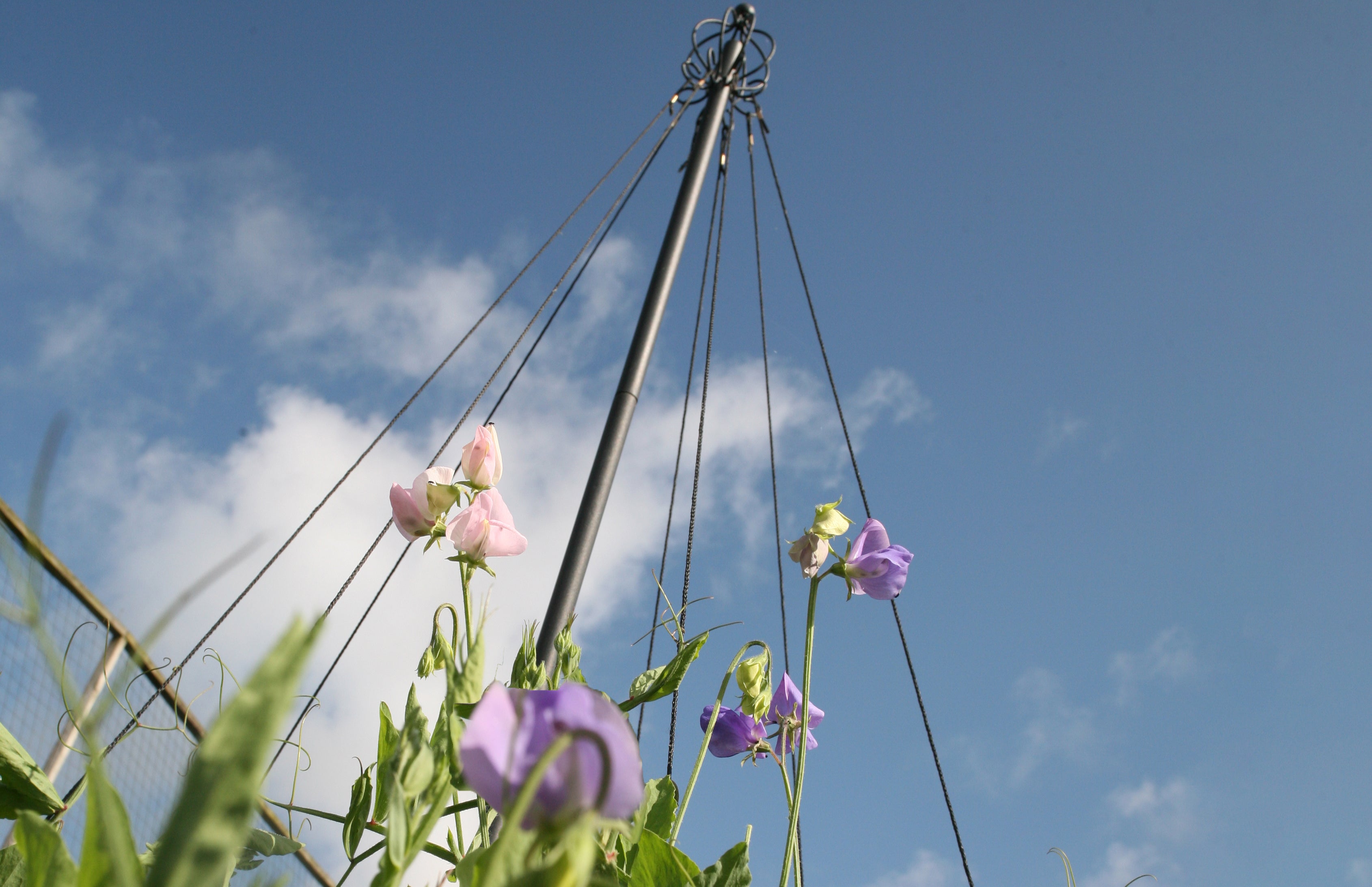 Garden Maypole Decorative Plant Support