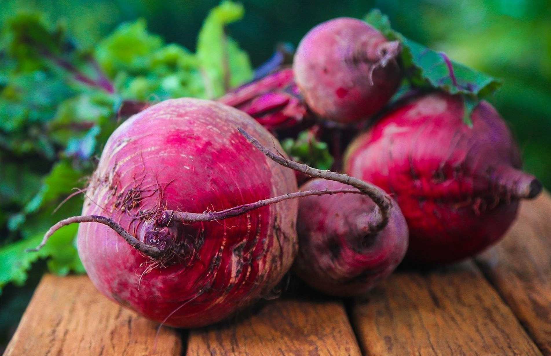 beetroot - the best way to grow beetroot