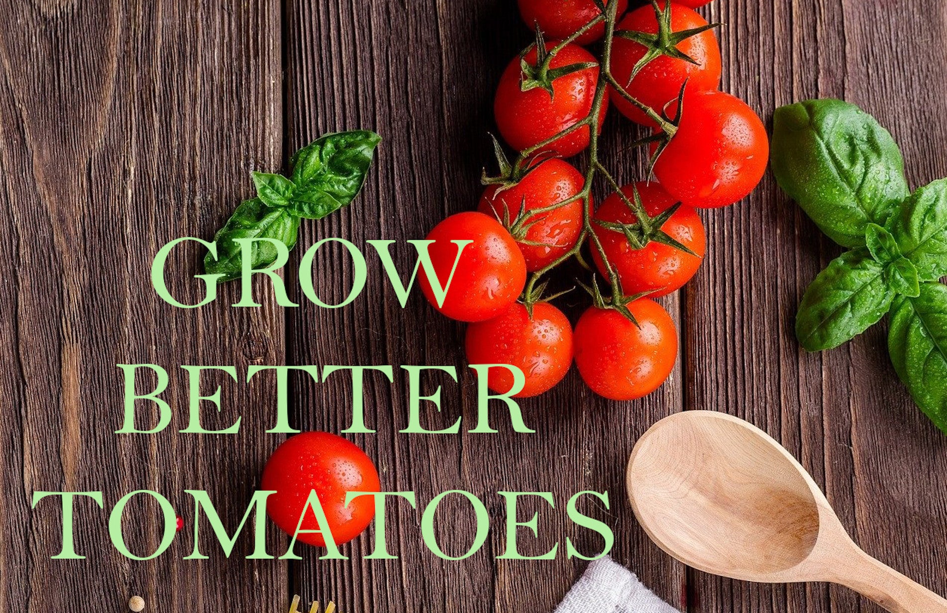 haxnicks- pot size for growing tomatoes- grow better tomatoes- tomato growing guide/tips