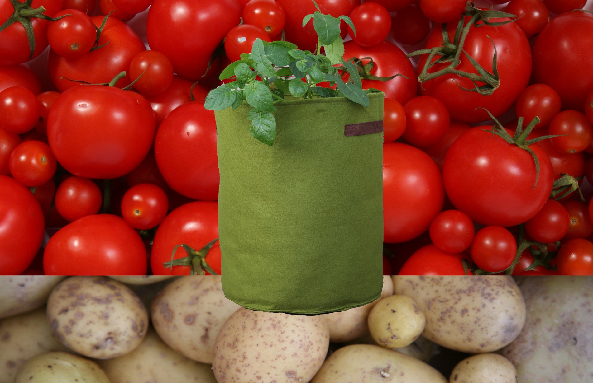 Haxnicks-vigoroot-potato-planter-tomato-planter-urban-gardening-patio-planter