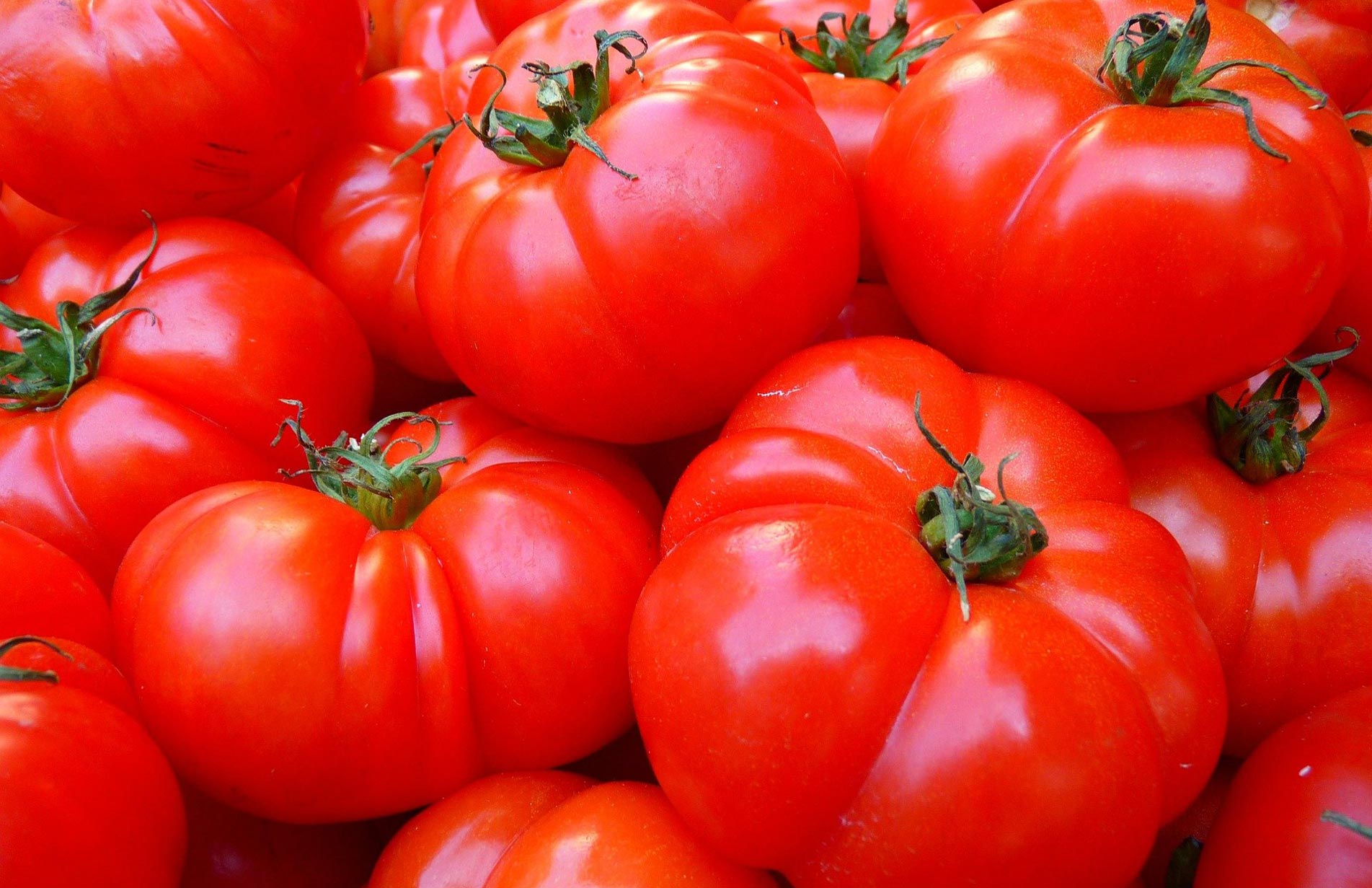 Bigger juicier home grown tomatoes