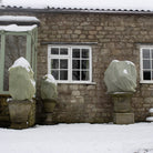 Easy fleece jackets use on three plants next to a house with windows in a snowy weather 