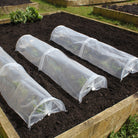 Easy Seedling Tunnels - three in a row in a garden