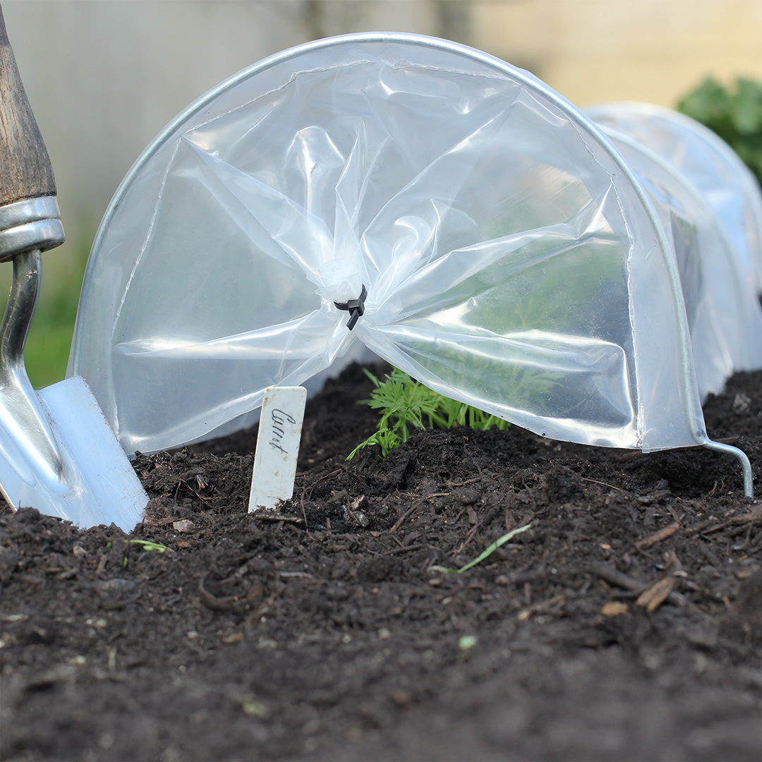 Easy Seedling Tunnel