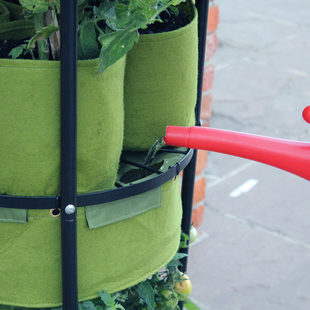 Vigoroot Self Watering Tower Garden with tomato plants in them being watered with a watering can