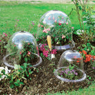 Victorian Bell Cloches covering different types of garden flowers 