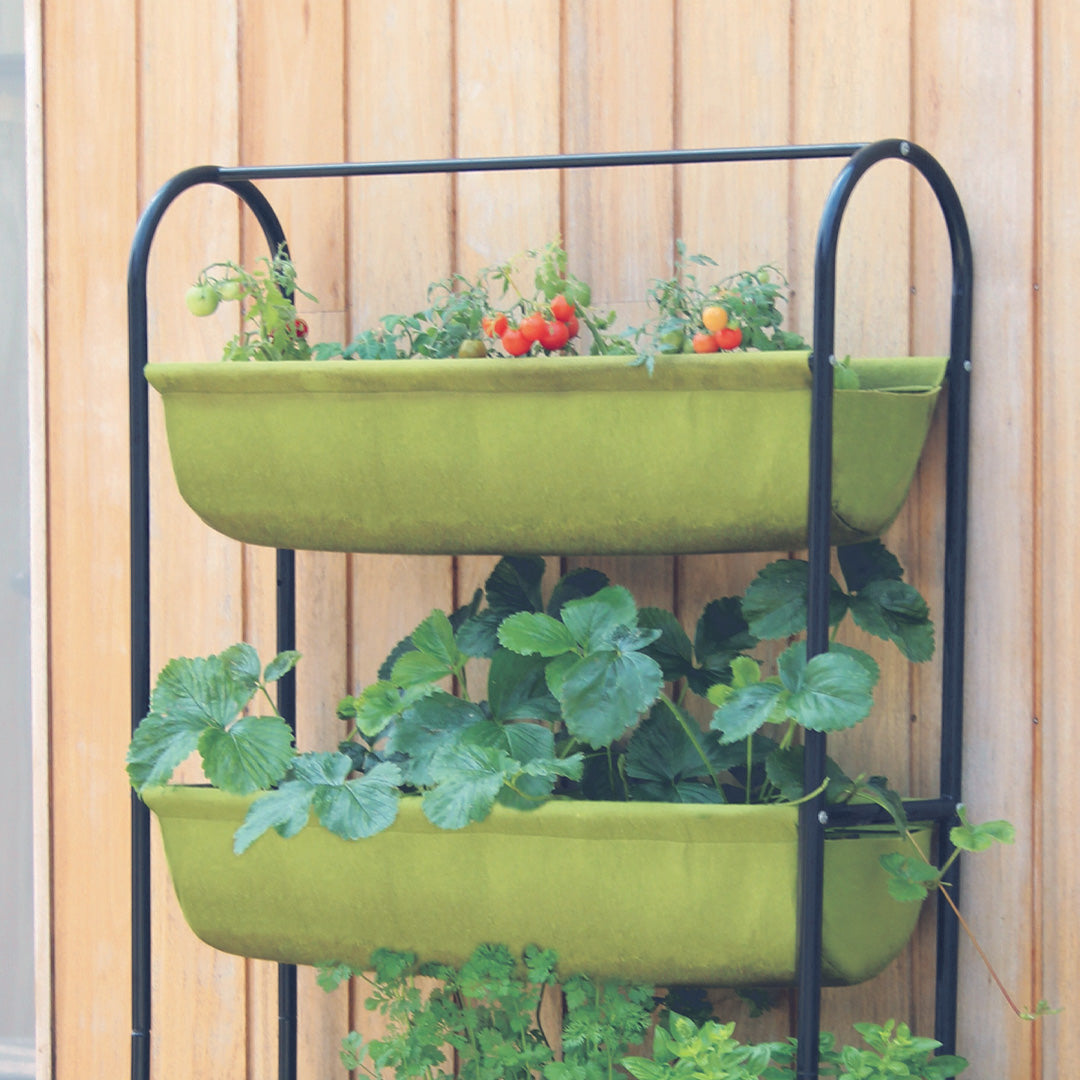 Vigoroot Balcony Garden with many different types of plants inside next to a wooden