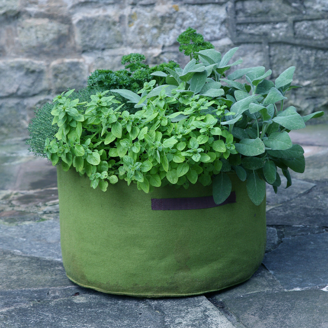 Vigoroot Herb Planter with many green herbs planted inside next to a brick wall