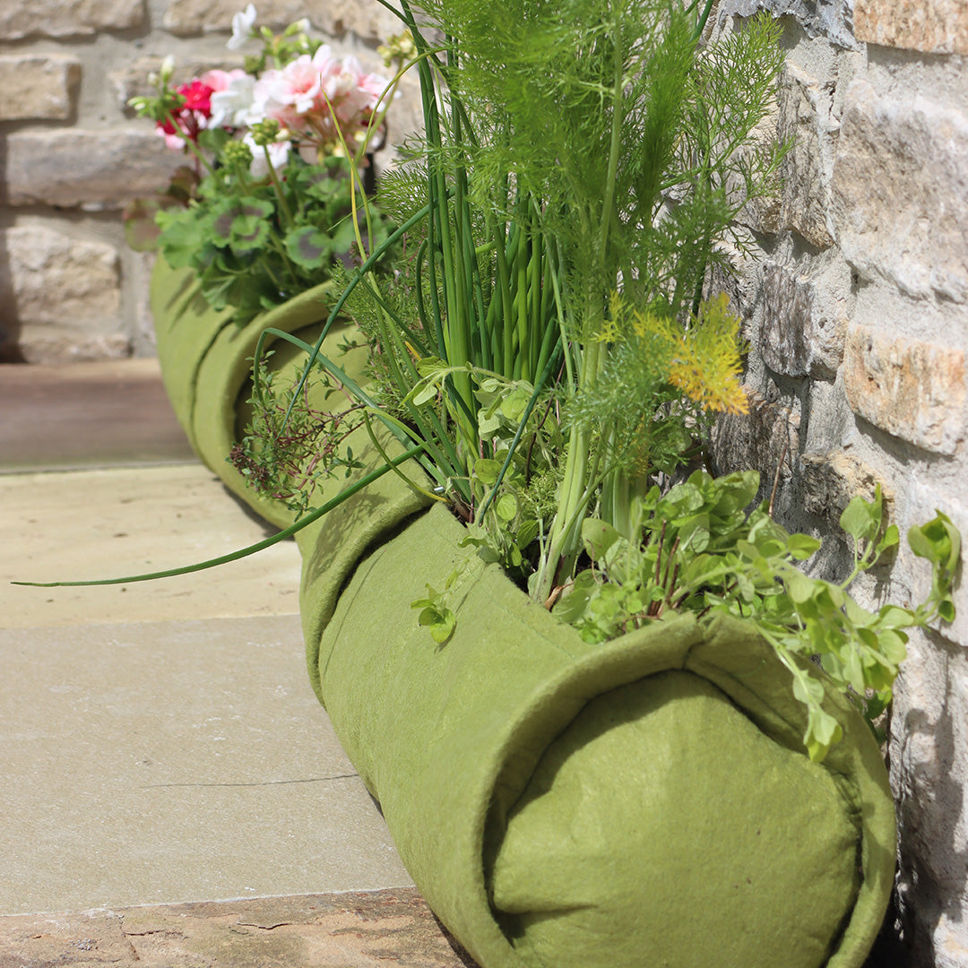 Vigoroot™ Plant Tube with colourful flowers inside it, next to a brick wall