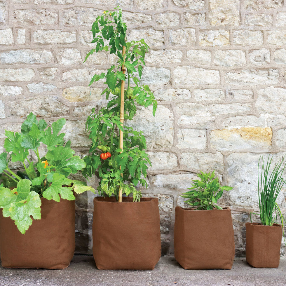 Pots & Garden Planters | Haxnicks