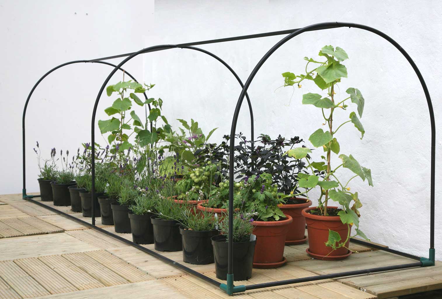 Grower Frame - Haxnicks