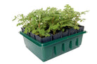 Haxnicks- Compact Rapid Rootrainer - root trainers with plants in studio