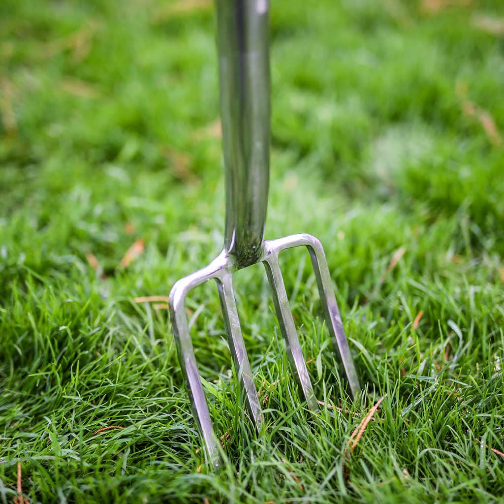 border fork close up 