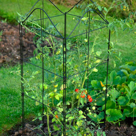 Plant Supports - Stakes, Soft Ties & Frames | Haxnicks