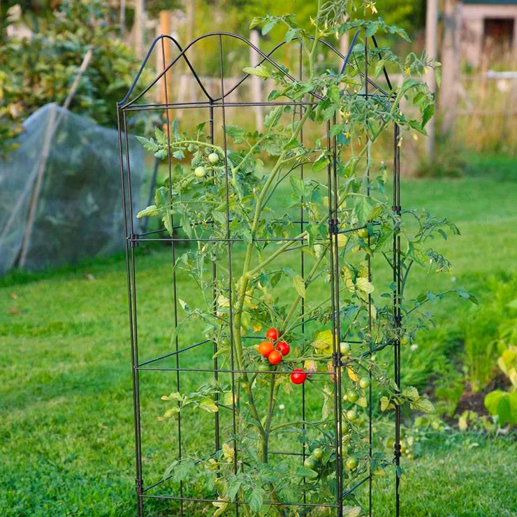 Fold-A-Frame - Tomato Square Frame | Haxnicks