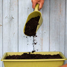 Haxnicks- Bamboo Scoop - in use with seedling tray