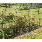 Steel Long Fruit Cage - Haxnicks