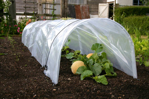 Easy Poly Tunnels | Plant Protection | Haxnicks