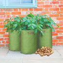 Potato Patio Planters | Pots & Planters | Haxnicks